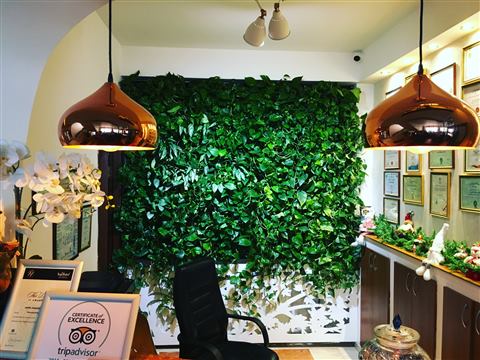Grădină verticală cu plante naturale – Hotel Drăgului, foto 9 din 10